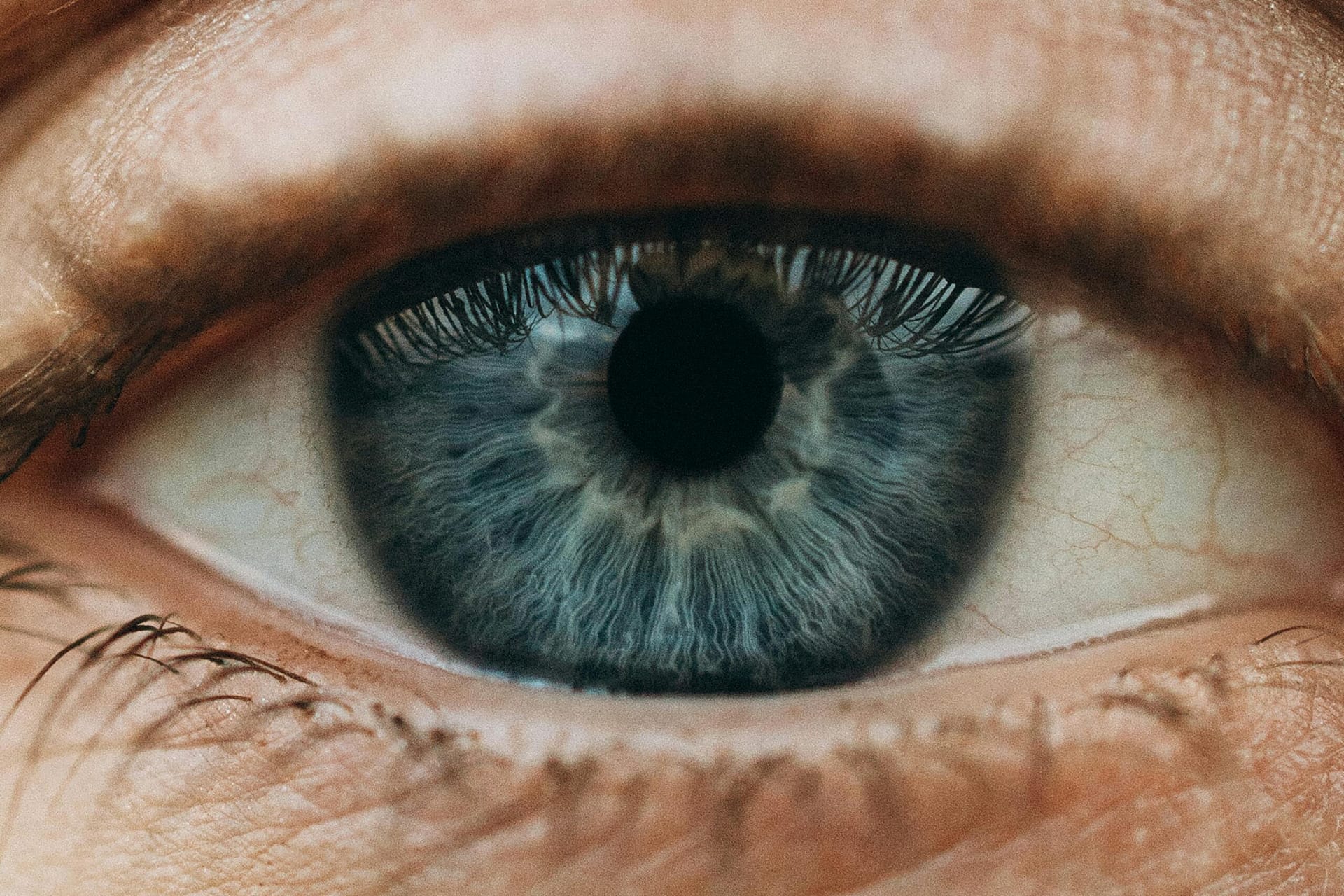 Macro photograph showcasing a close-up view of a blue human eye with detailed iris patterns.